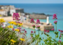 Comment découvrir Marseillan pendant vos vacances dans l’Hérault ?